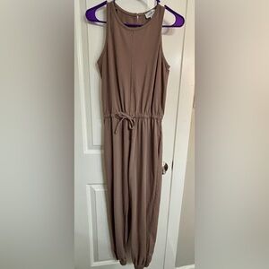 Evereve Taupe Jumpsuit